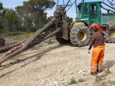 Travaux forestiers